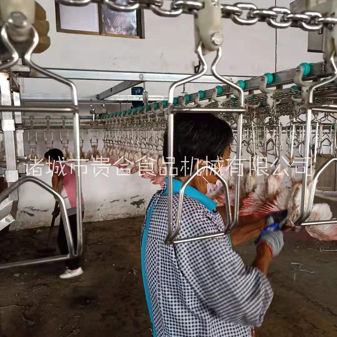 鴿子自動(dòng)宰殺流水 乳鴿屠宰設(shè)備直銷 鴿子自動(dòng)宰殺流水乳鴿自動(dòng)屠宰設(shè)備