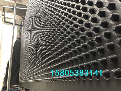 阻根排水板南京20mm車庫排水板*當(dāng)?shù)厣a(chǎn)廠家