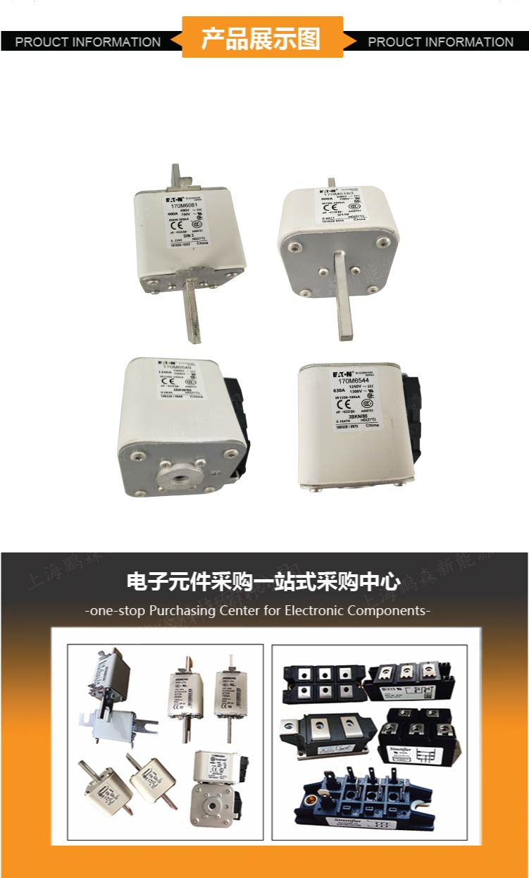 170M4764 170M4765 170M4766 170M4767    美國巴斯曼熔斷器