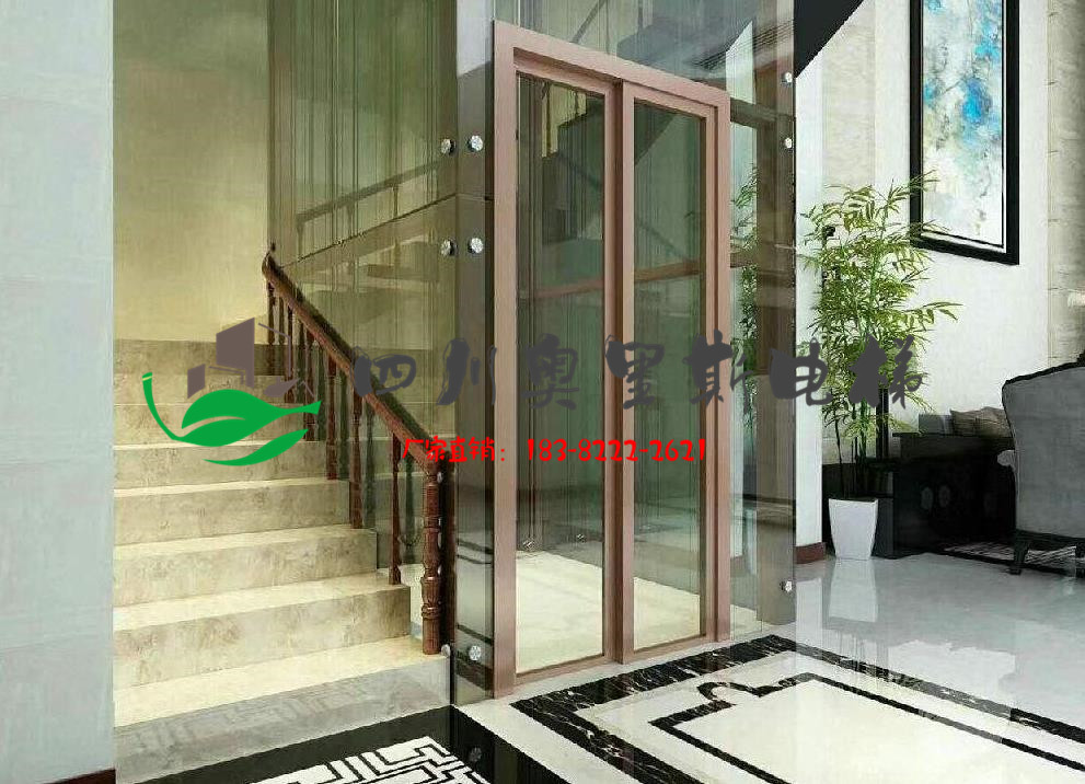 成都廠家定制家用電梯，無(wú)機(jī)房電梯報(bào)價(jià)