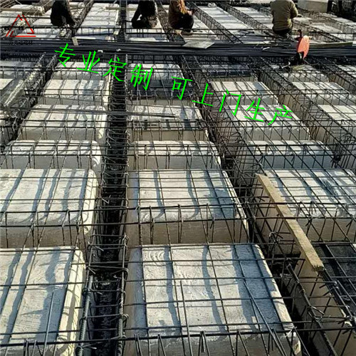 雙向密肋樓板 空心樓蓋圖紙 現(xiàn)澆混凝土空心樓蓋箱體 模塊 密肋復(fù)合箱體 密肋梁蓋復(fù)合填充體