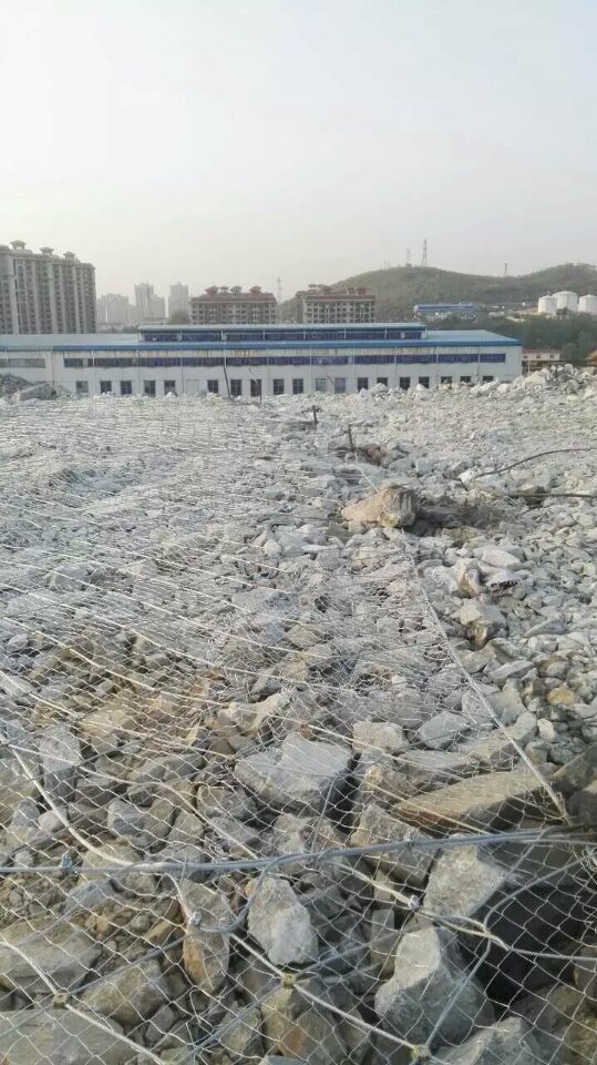 SPIDER絞索網單價 主動邊坡防護網廠家 鈦克網單價