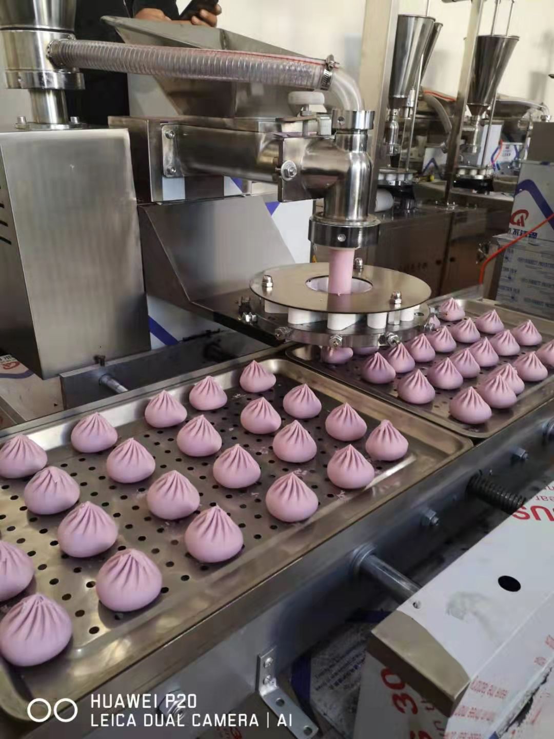 全自動包子擺盤機廠家直銷價格