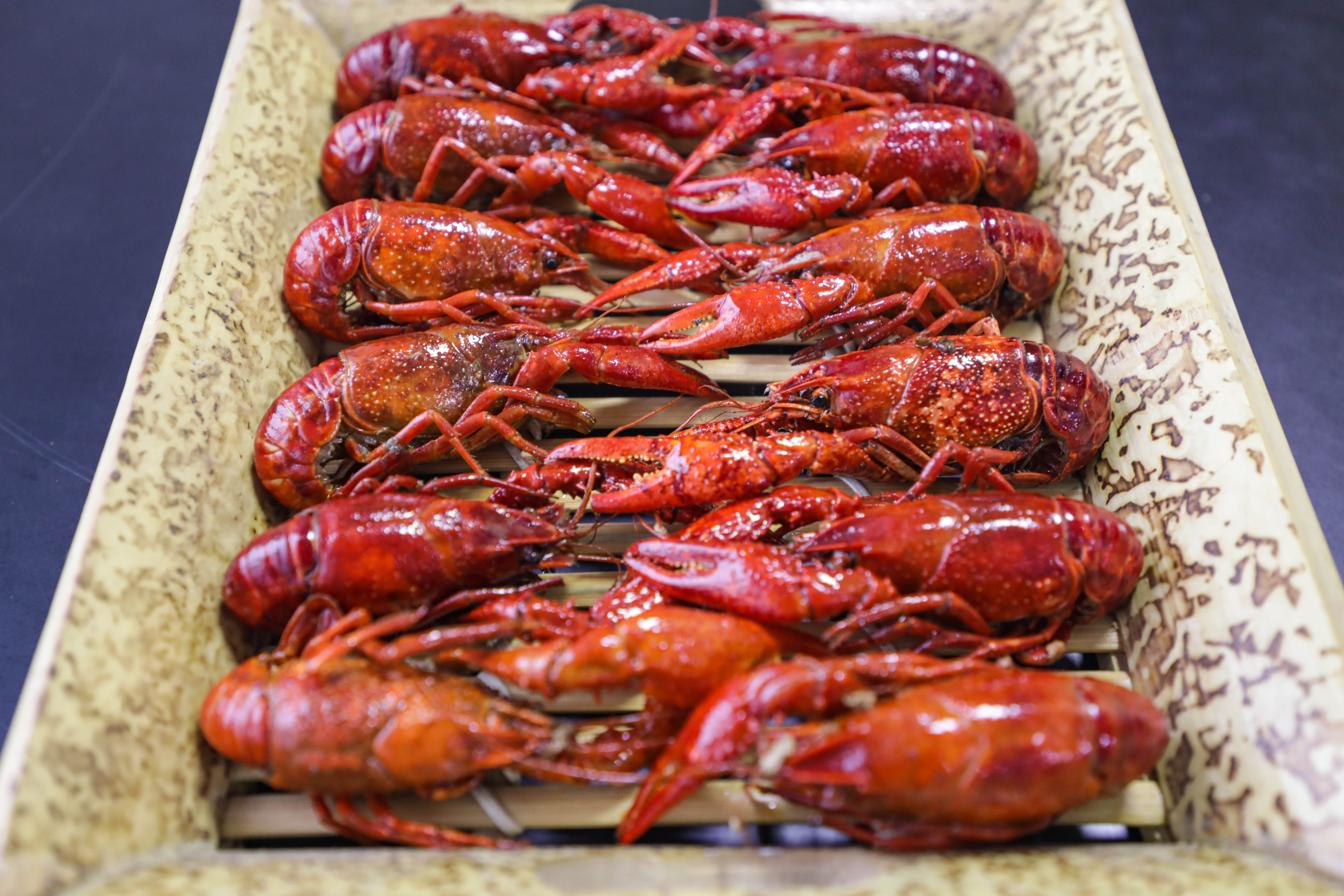 油燜大蝦湖南麻辣龍蝦油燜蝦培訓(xùn)基地一對一輔導(dǎo)