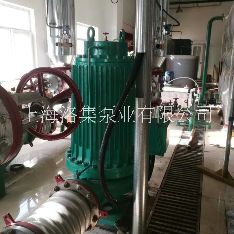 洛集泵業(yè)SPG型*式管道泵立式循環(huán)泵價(jià)格低噪音增壓泵廠家直銷