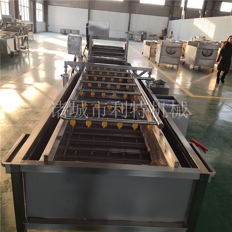 果蔬清洗機(jī)制造商 香椿氣泡翻浪清洗機(jī) 櫻桃節(jié)能清洗機(jī)