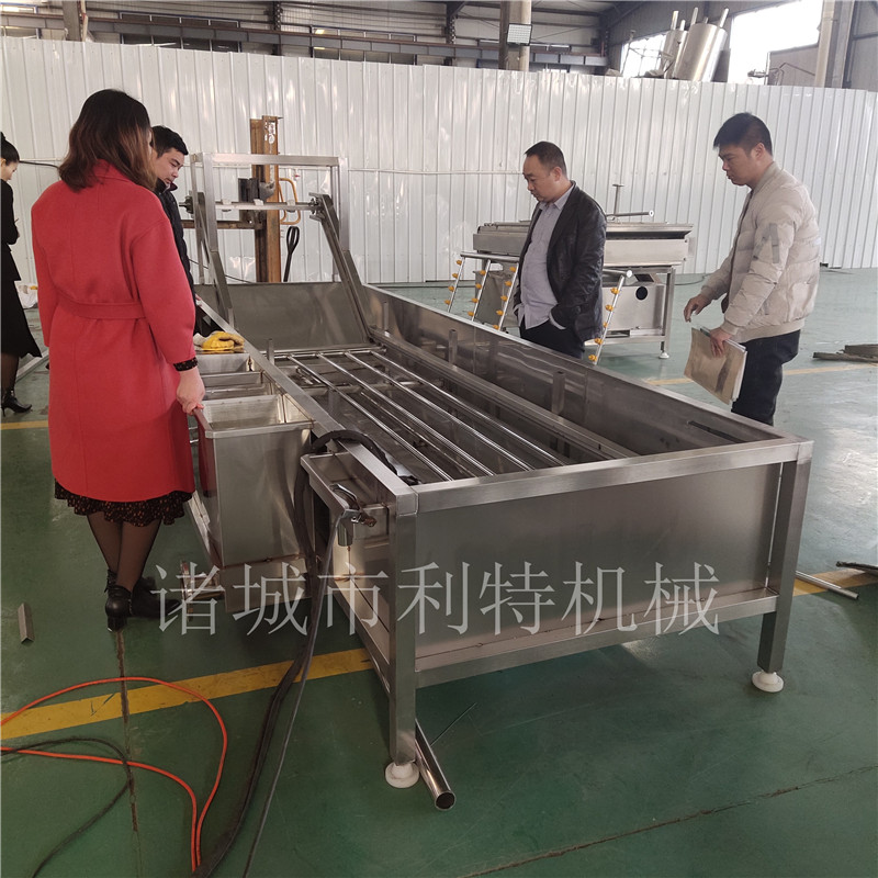 黃瓜高壓氣泡清洗機(jī) 蔬菜水浴式清洗機(jī)  凈菜加工生產(chǎn)線
