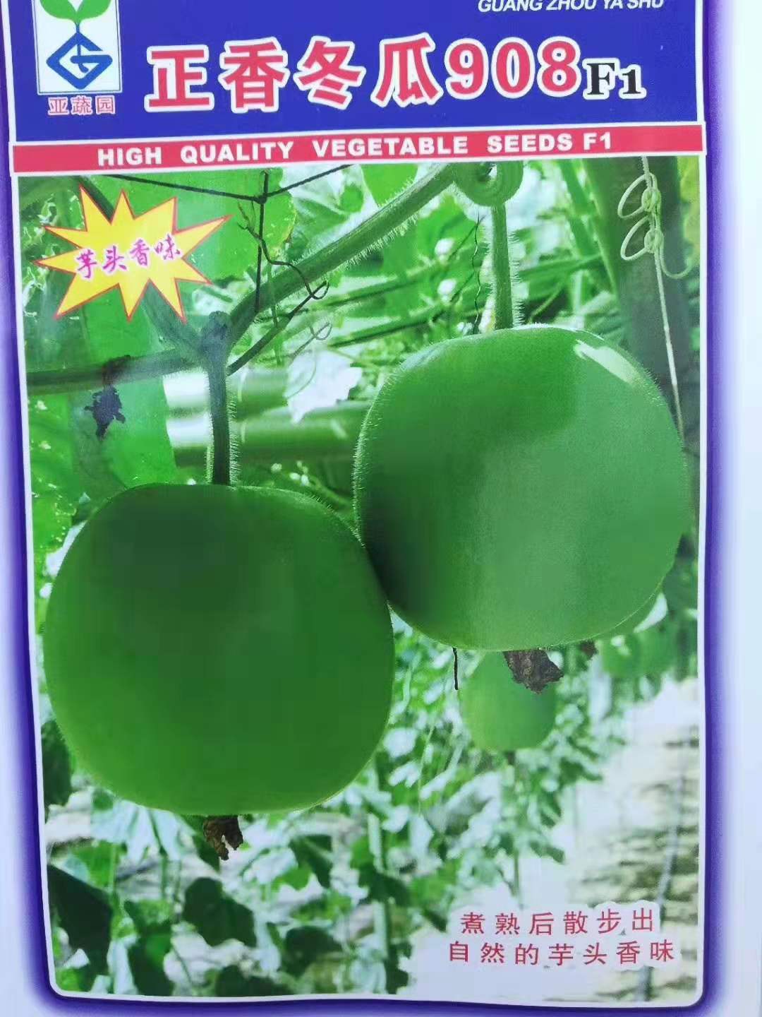 袋裝冬瓜種子技術(shù) 袋裝香芋冬瓜種