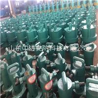 礦用風(fēng)動(dòng)泵廠家直銷FQW25-50/W呂梁興縣煤礦用井下小型潛水排污泵