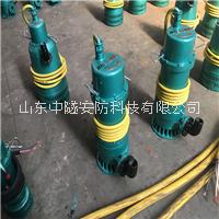 廣東深圳潛水排污泵BQS40-10-3三項(xiàng)小型大流量防爆潛水泵煤安認(rèn)證