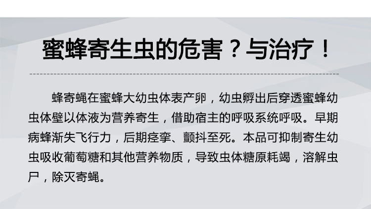 蜂寄蠅蟲凈中蜂寄生蠅病爬蜂病怎么辦