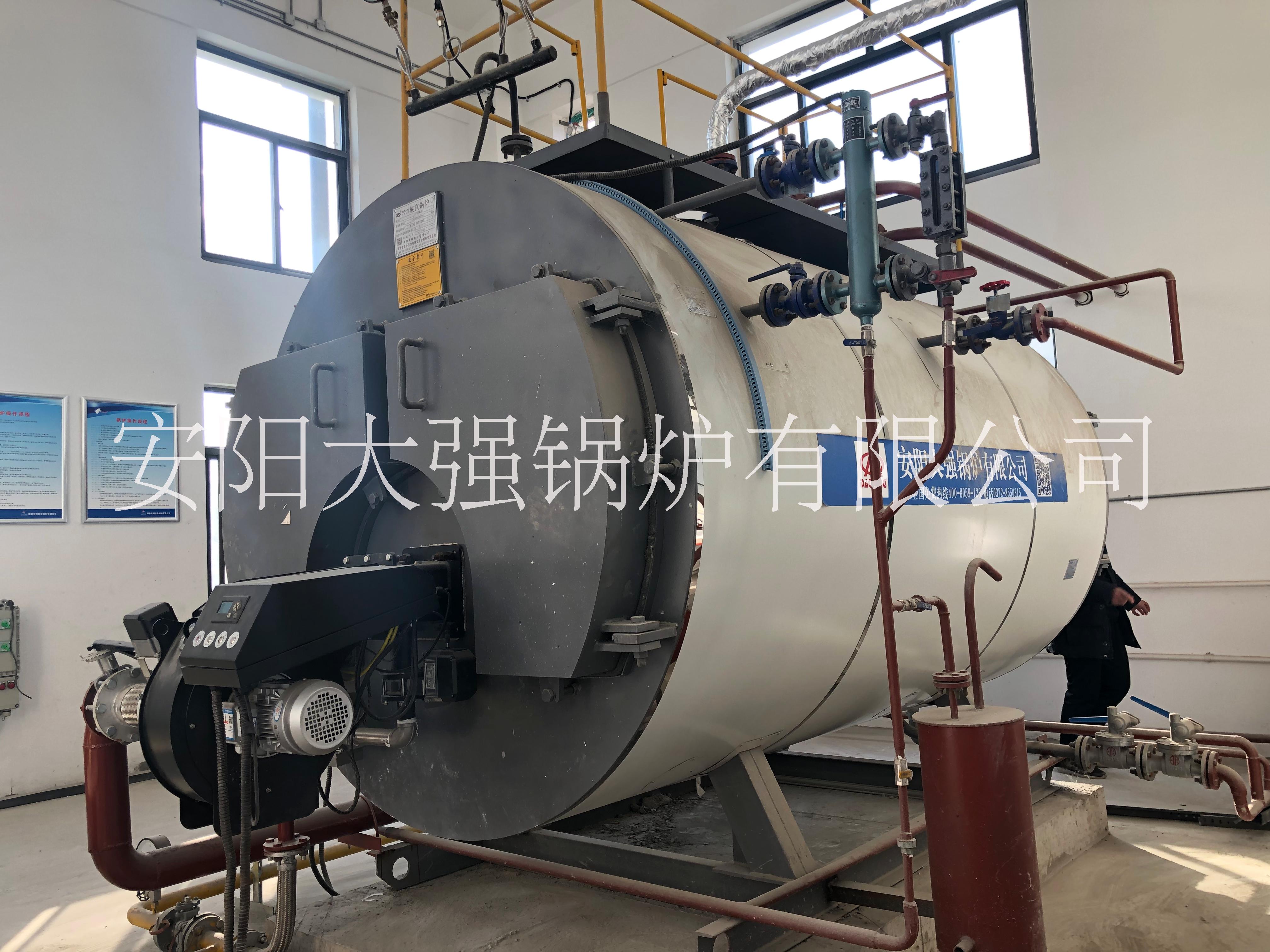 供應(yīng)大強(qiáng)超低氮冷凝式燃?xì)庹羝仩t