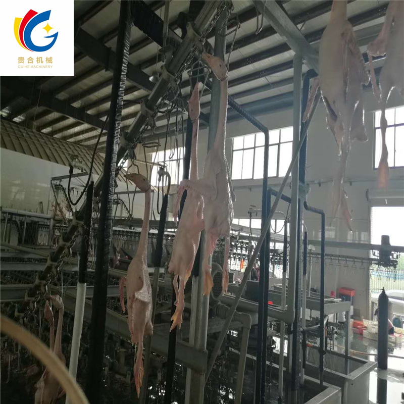 肉鴨屠宰流水線鴨子屠宰加工流水線 鴨子屠宰機(jī)械廠家