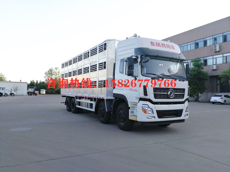 全鋁合金東風(fēng)12米豬仔豬苗轉(zhuǎn)運車?yán)i車