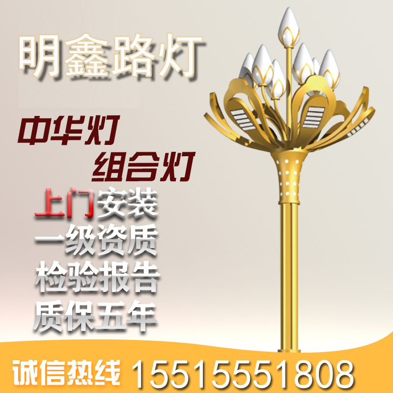 城市亮化道路景觀燈中華燈玉蘭燈定制燈