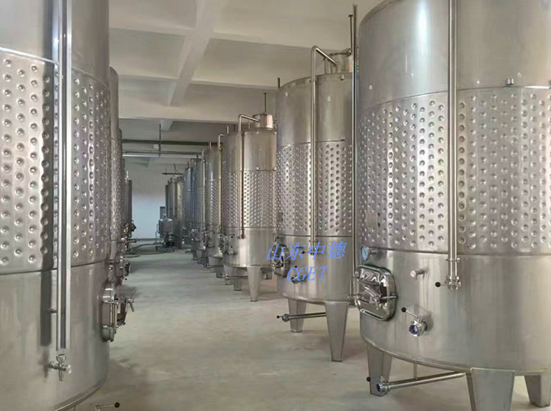 獼猴桃酒設(shè)備\山東中德