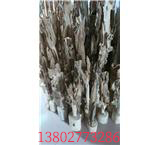 海南土沉香苗 廣州沉香地苗 量大從優(yōu) 成活率高