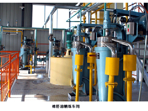 供應中科集團環(huán)保型棉籽油浸出精煉設備