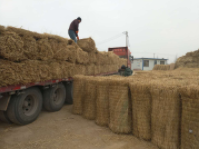 寧夏草簾供應商