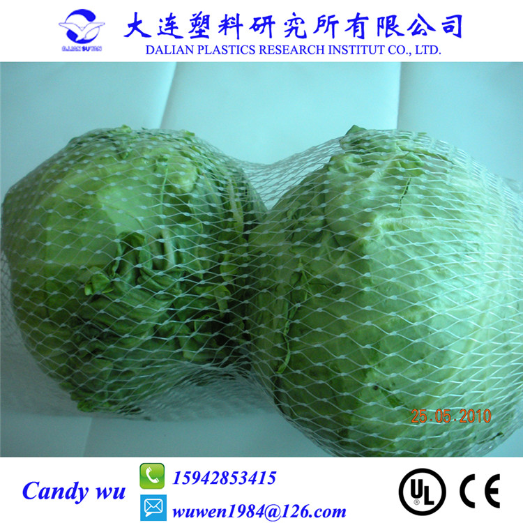 塑料水果蔬菜拉伸包裝網(wǎng)生產(chǎn)線設備