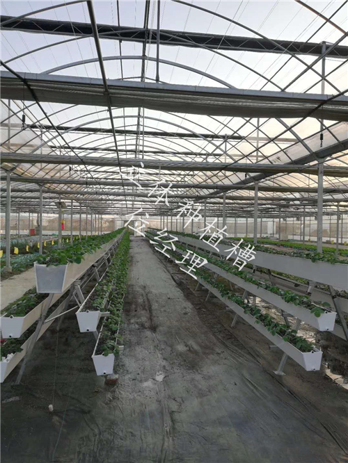 沈陽A字架草莓槽立體種植槽實(shí)體廠家批發(fā)價(jià)