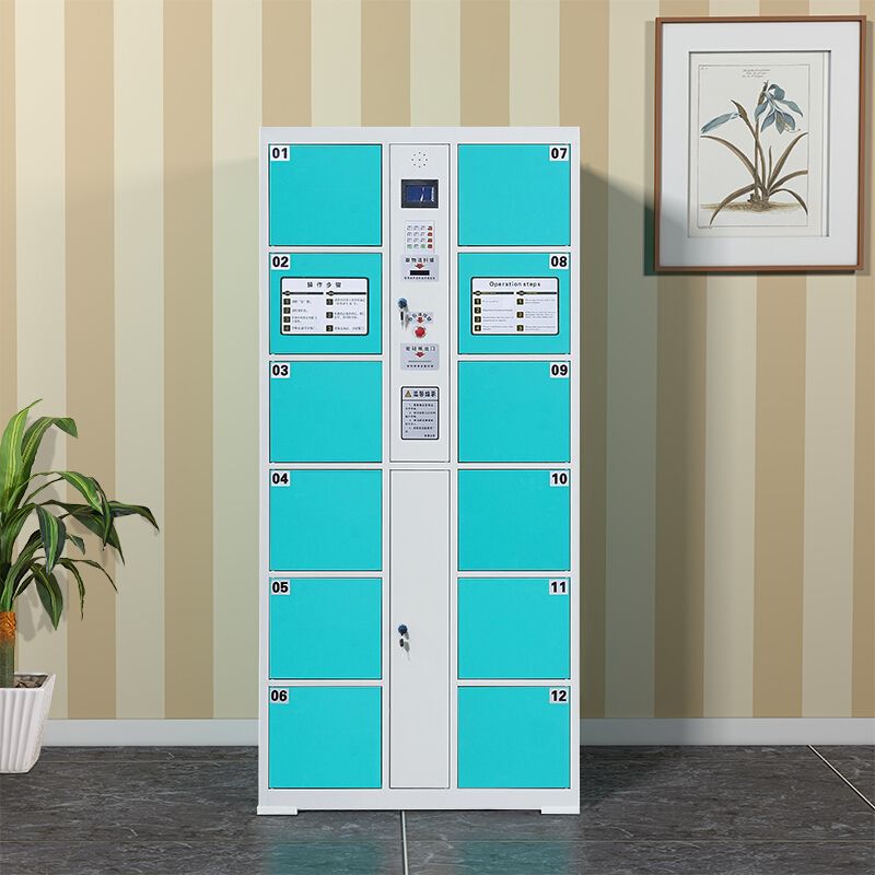 四川成都/智能存包柜/電子存包柜