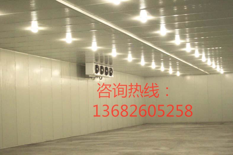 東莞雁田專業(yè)安裝保養(yǎng)冷庫凍庫保鮮庫維修電話13028831264 東莞市雁田冷庫凍庫保鮮庫