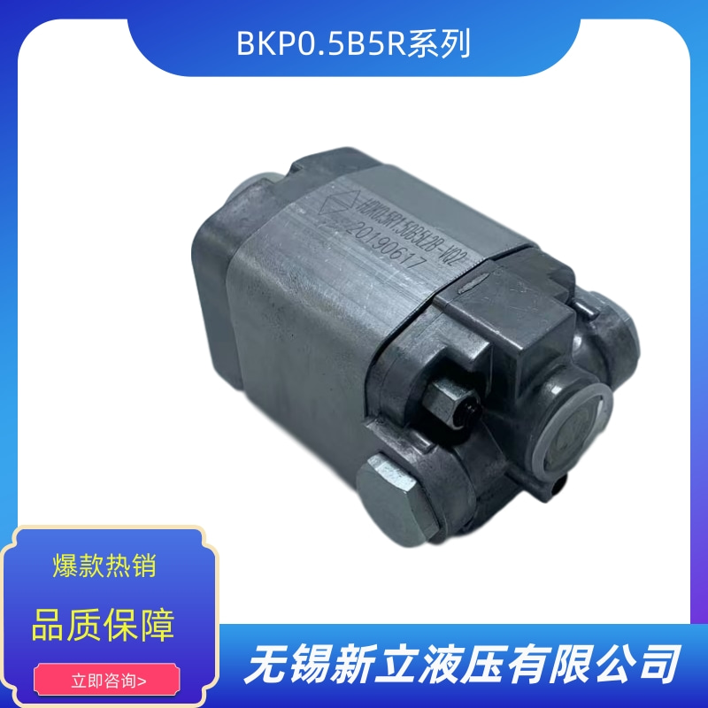 無錫齒輪油泵BKP0.5B5R價格 批發(fā) 供貨商 生產(chǎn)廠家【無錫新立液壓有限公司】