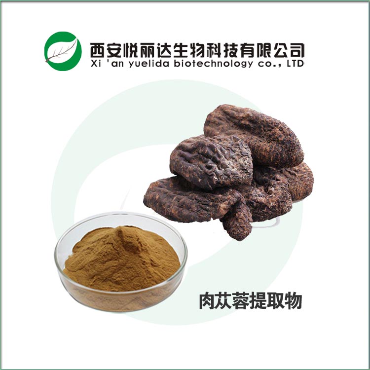 肉蓯蓉提取物粉 管花肉蓯蓉純粉