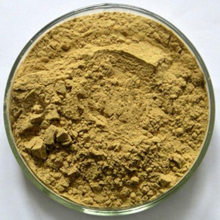 桑葉提取物 桑葉DNJ5% 桑葉比例提取物