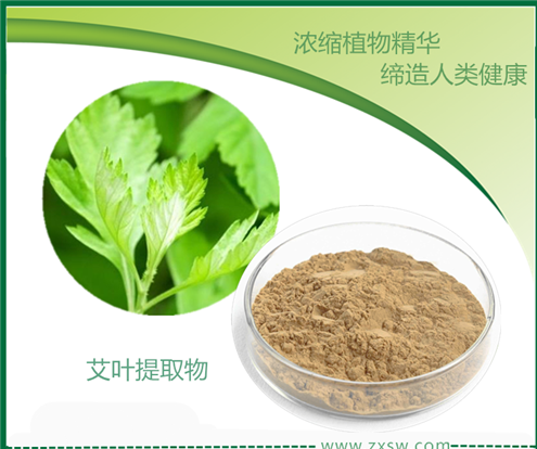 艾葉提取物 艾葉10:1比例提取物 陜西中鑫生物