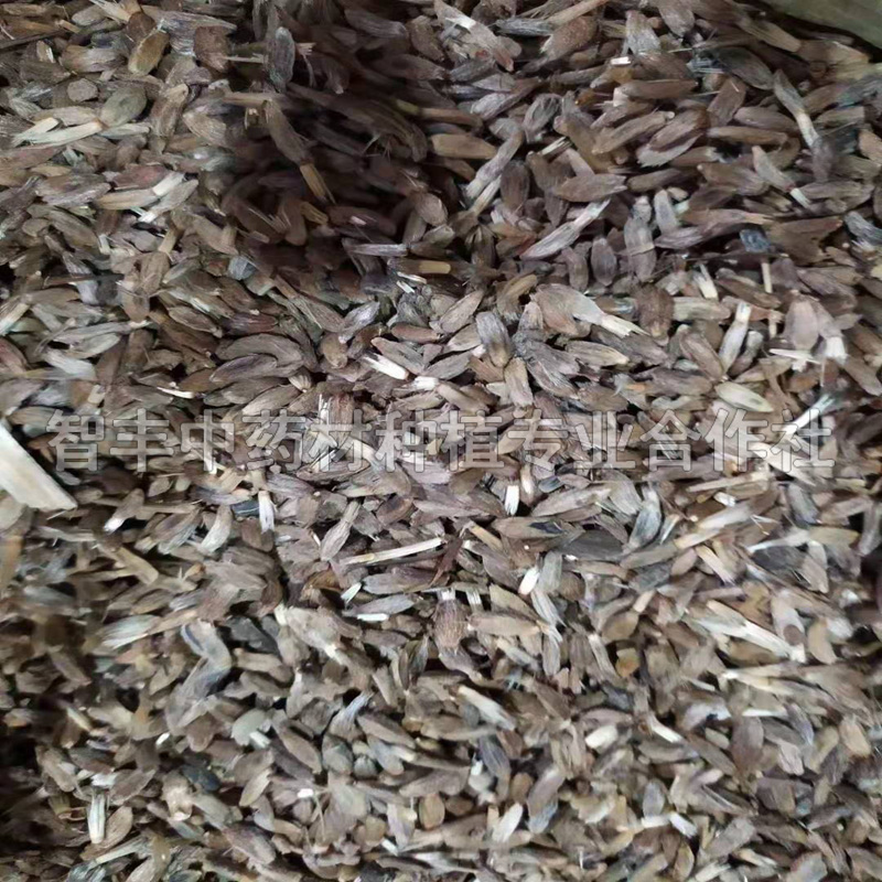 常德白術(shù)林下套種技術(shù)要點(diǎn)、白術(shù)芽種植要點(diǎn)【智豐中藥材種植專業(yè)合作社】