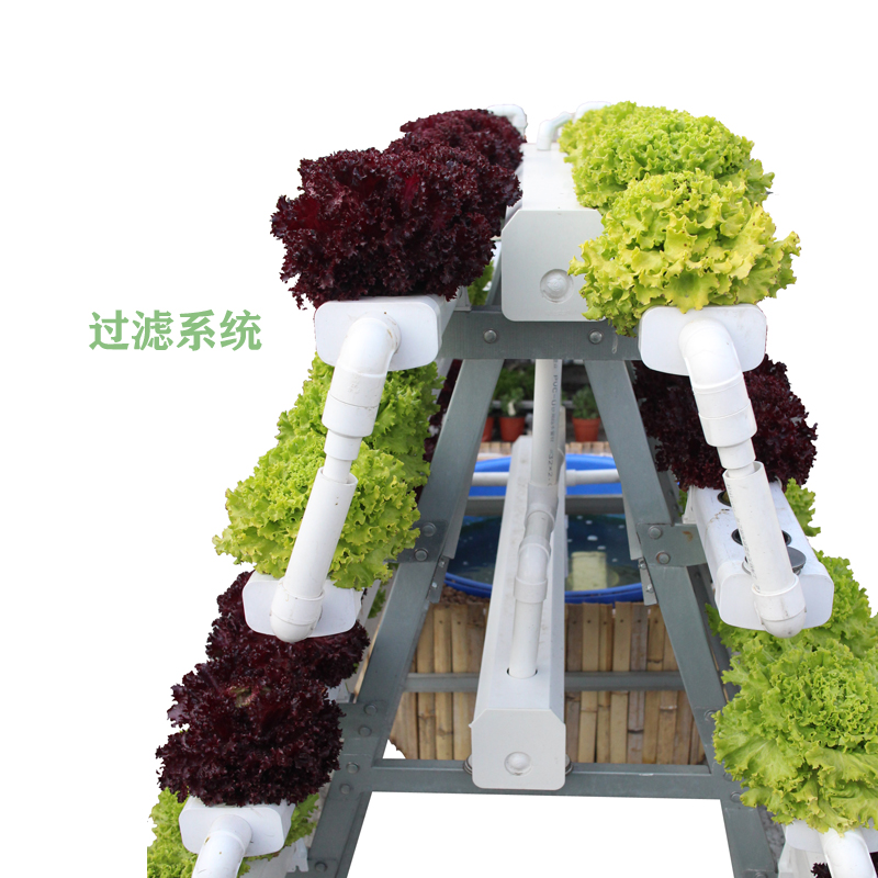 幸運買家戶外陽臺蔬菜種植無土栽培設(shè)備魚菜共生水培種植架魚美人 植物種植架