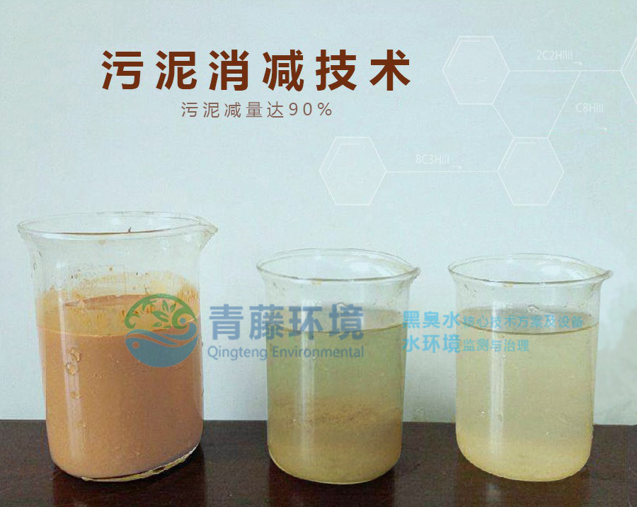 污泥減量化處理_污泥處理處置_污泥處理公司
