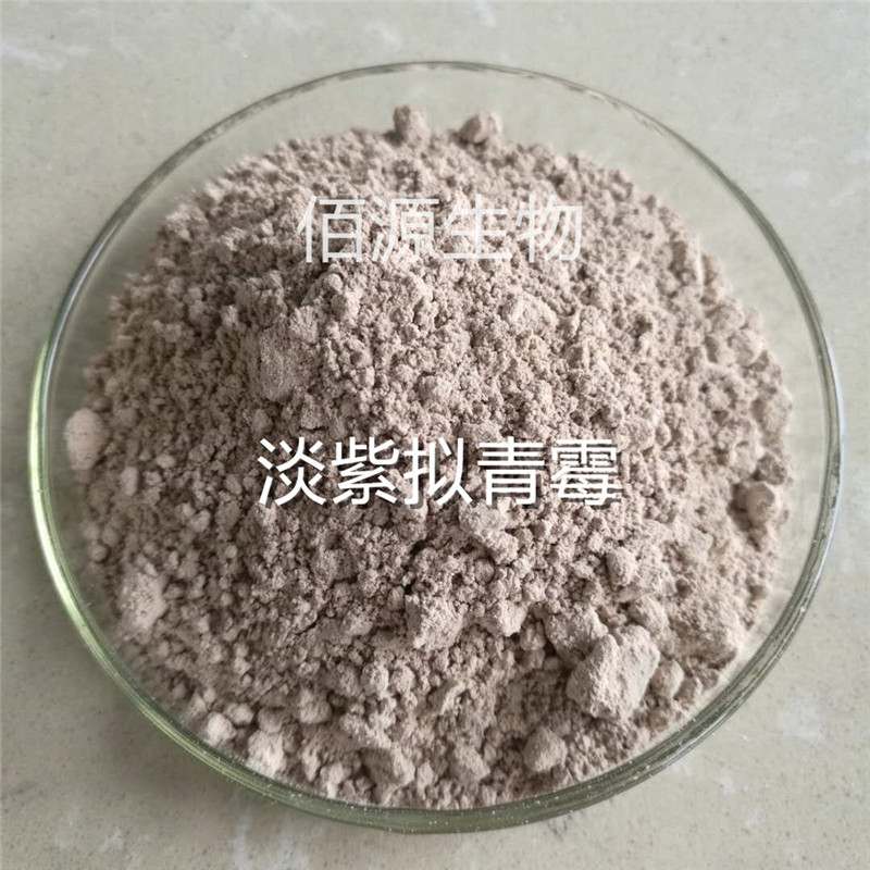 供應(yīng)全水溶淡紫擬青霉 線蟲防治微生物菌種廠家直銷