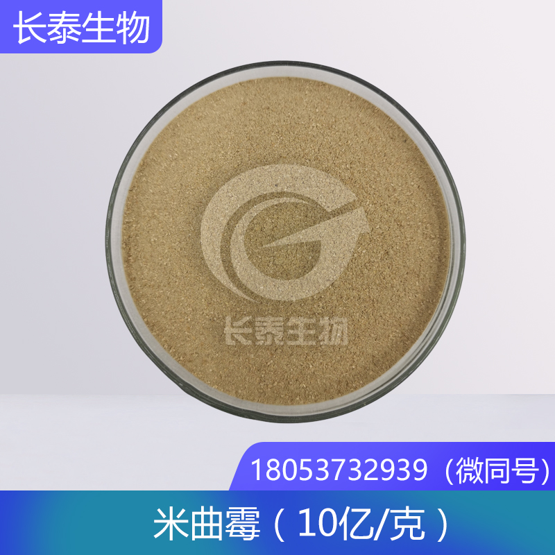 米曲霉 生物飼料發(fā)酵菌種 畜禽有益菌廠家直銷