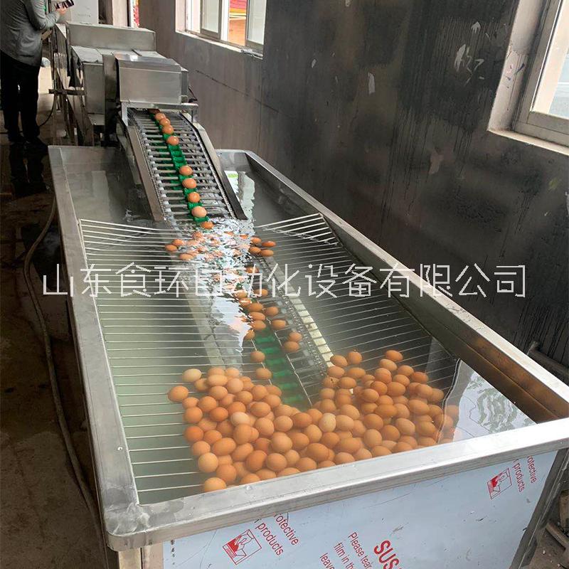 全自動(dòng)洗蛋機(jī) 單排洗蛋機(jī) 蛋品清洗設(shè)備 食環(huán)可定制大型洗蛋機(jī)