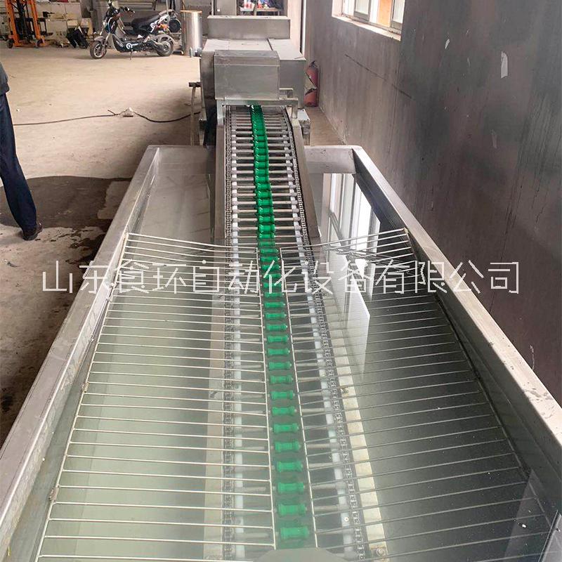全自動(dòng)洗蛋機(jī) 單排洗蛋機(jī) 蛋品清洗設(shè)備 食環(huán)可定制大型洗蛋機(jī)