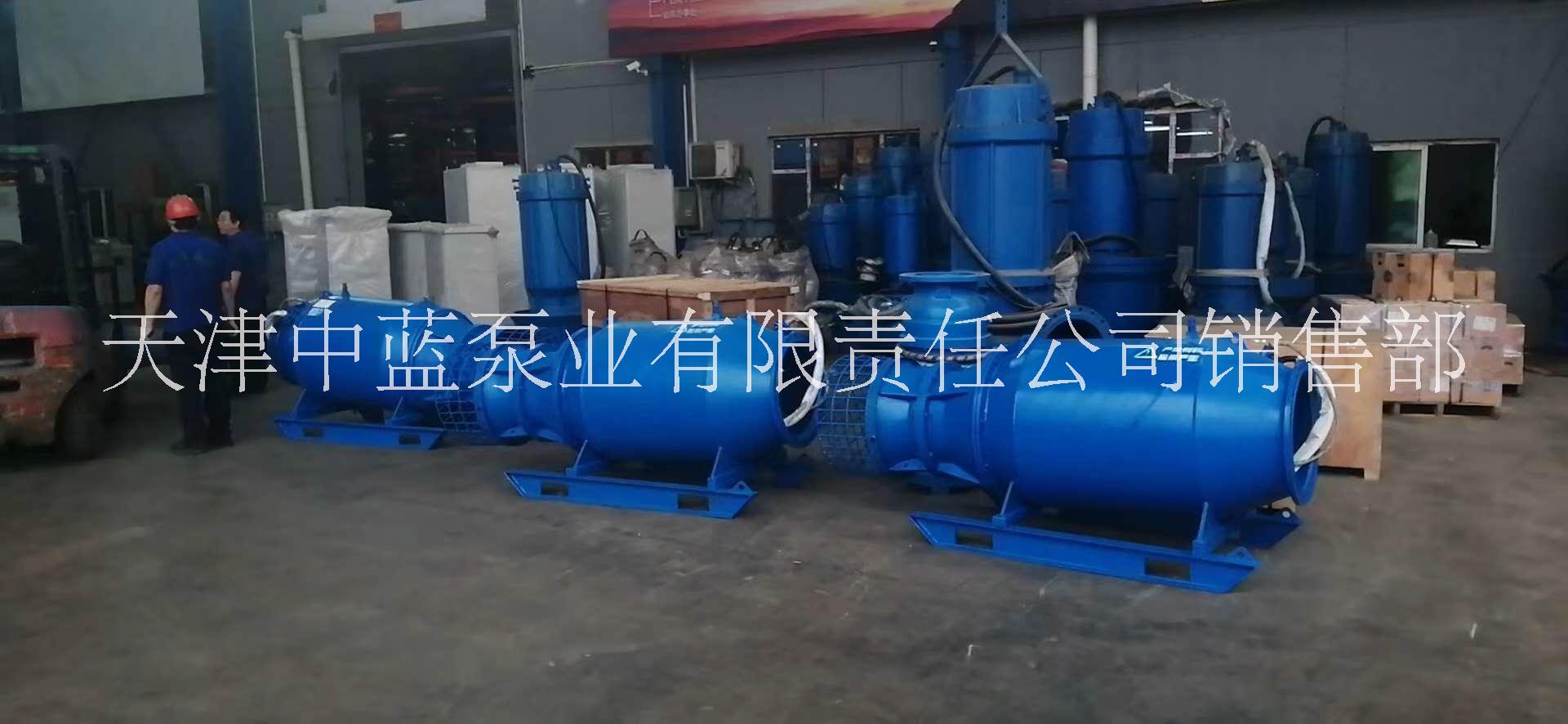 直連安裝雪橇式潛水軸流泵