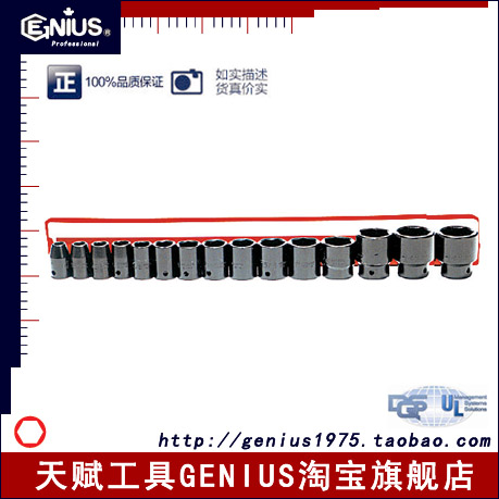 Genius天賦工具TF-016 1/2