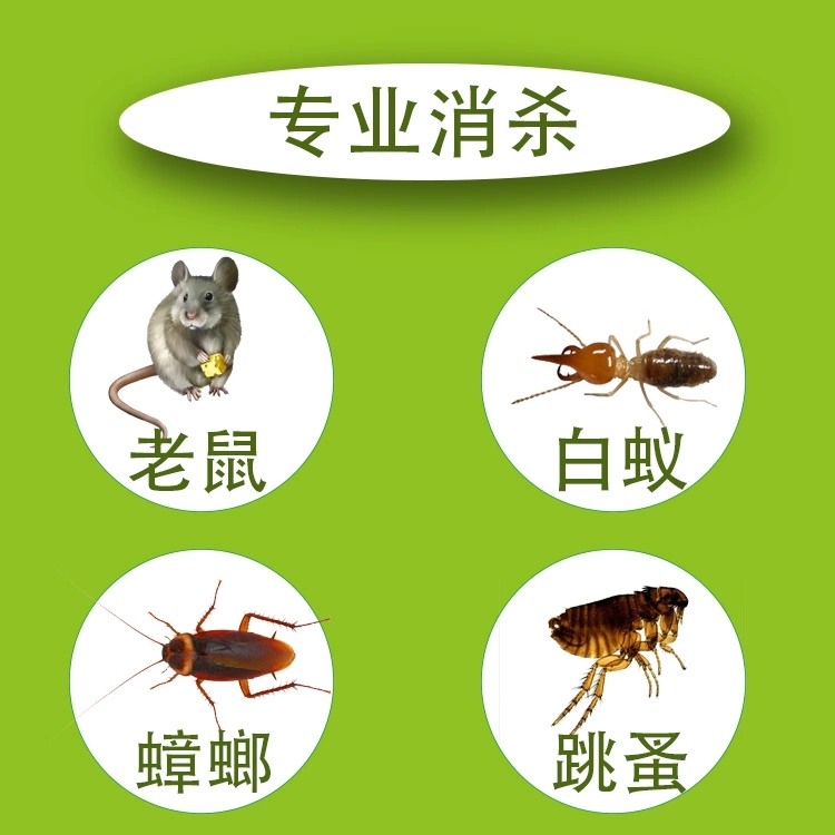 陽江湛江滅鼠滅蟲公司老鼠滅蟑螂螞蟻除白蟻藥 陽江湛江滅鼠滅蟑螂公司