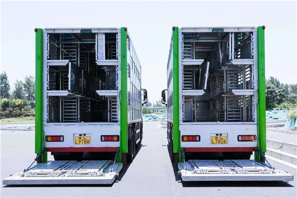 畜牧豬苗運輸車豬幼仔保溫運輸車 養(yǎng)殖場大型活生豬運輸車 畜禽運輸