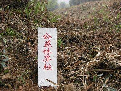 界樁報價