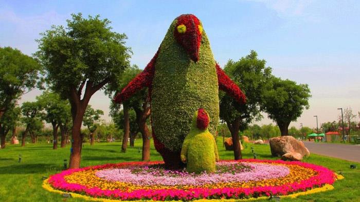 徐州五色草造型價(jià)格、供應(yīng)商、聯(lián)系方式、設(shè)計(jì)【徐州紅景天農(nóng)業(yè)發(fā)展有限公司】