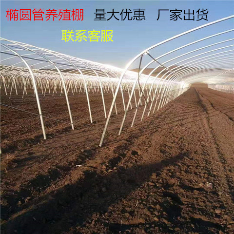 溫室大棚骨架蔬菜大棚鋼管大棚農業(yè)鋼架連體熱鍍鋅鋼管養(yǎng)殖棚大棚 溫室大棚 種植大棚 養(yǎng)殖大棚