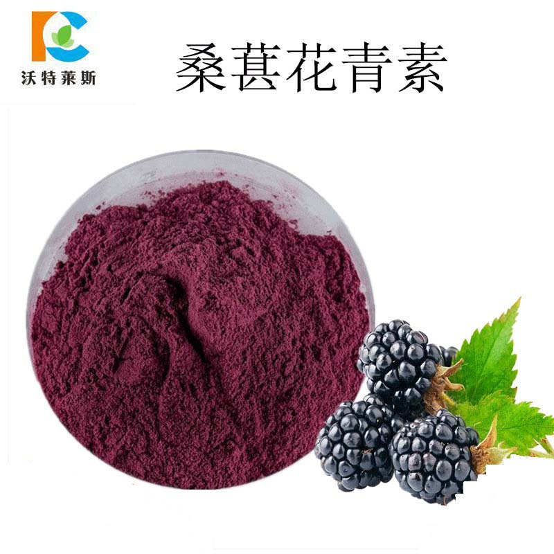 桑葚花青素25%提取物水提50:1速溶1KG起售包郵
