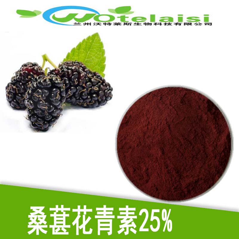 桑葚花青素25%提取物水提50:1速溶1KG起售包郵