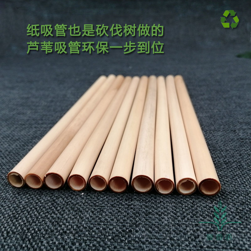 可降解植物吸管，一次性塑料吸管替代品-麥香承蘆葦吸管 可降解吸管
