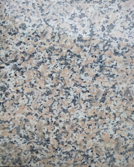 山東五蓮花直銷