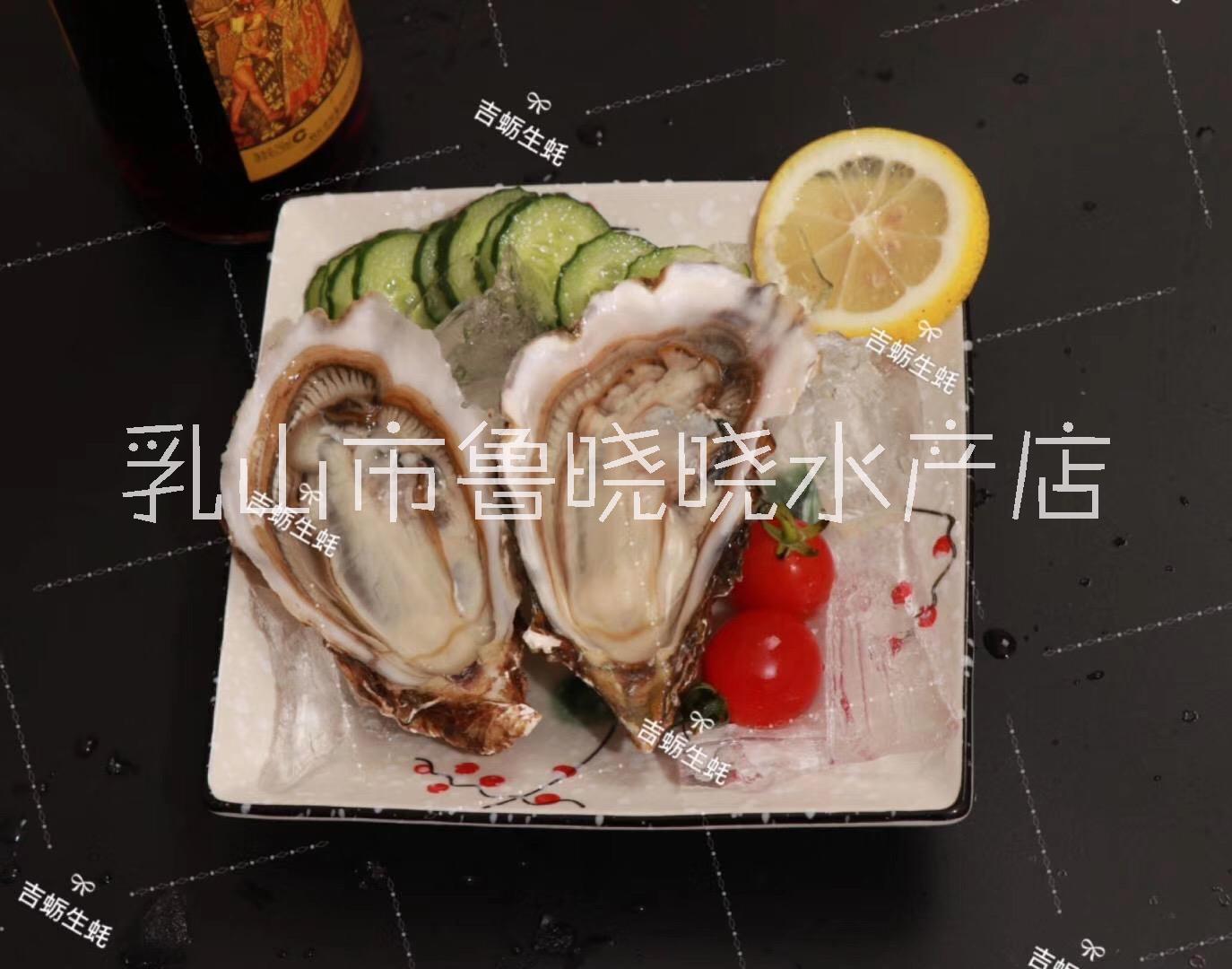 山東乳山生蠔多少錢一斤鮮活生蠔